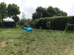 -翊宠yipet猫狗购宠庄园犬舍•猫舍