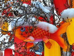 -龙湖星悦荟(颐和店)