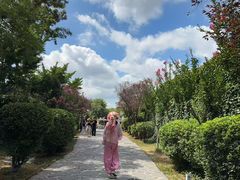 -蓬莱阁景区