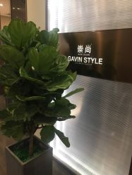 -崇尚GAVIN STYLE臻选
