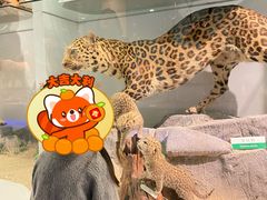 -国家自然博物馆