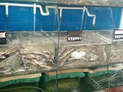 android_upload_pic-胖大嫂渔家排档(半边山店)