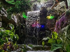 -多彩贵州城极地海洋世界