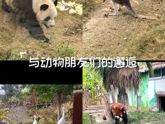 -泉州海丝野生动物世界