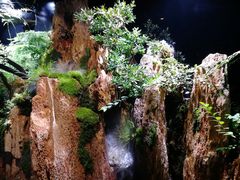 -泰谷酒店·太古码头闽菜自助餐厅