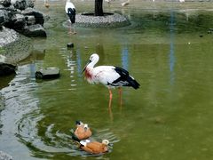 -森林公园(尖草坪区)