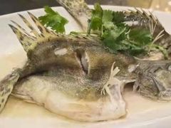 -绿雅居原生态农庄(小涌店)