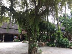 -西双版纳傣族园
