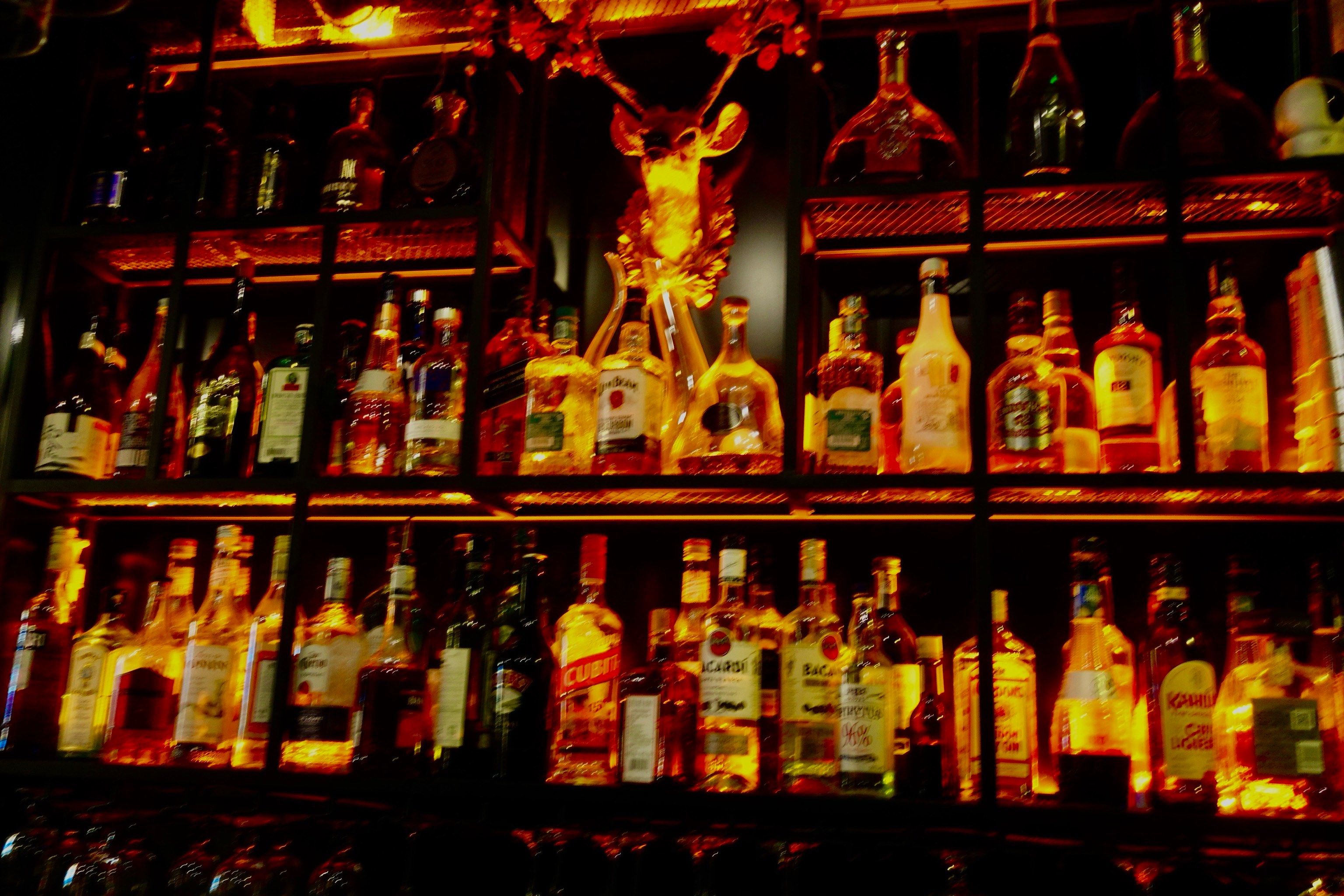 这家酒吧有情怀 老板用爱发电