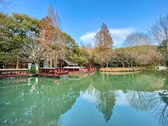 -同里国家湿地公园