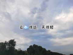 -望湖烤鱼