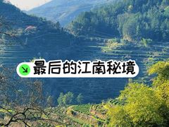 -杨家堂村