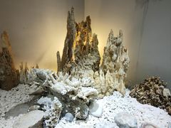 -游龙石文化科普馆