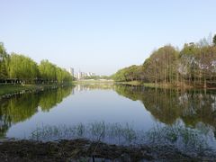 -贡湖湾湿地公园