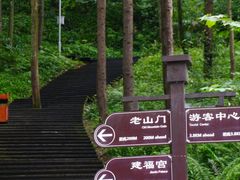 -青城山