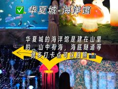 -威海华夏城景区
