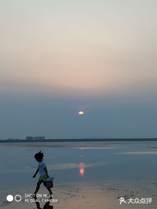 南汇嘴观海公园图片