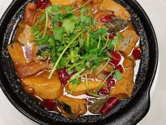 -丁老爷子苏香圆