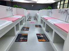 -沥鲨亲子游泳俱乐部(金沙洲中心)