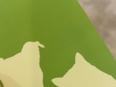 -美联众合动物医院·24h转诊中心