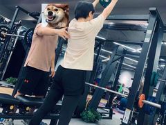 -Ms.Pilates 普拉提技术(尚悦湾陆家嘴店)