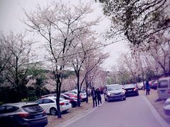 -苏州吴中太湖旅游区