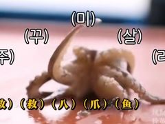 -七爷清汤腩·港式餐厅(金狮广场店)
