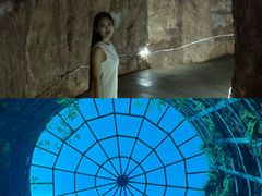 -中国西峡恐龙遗迹园