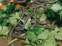 -遵义虾子卢四羊肉粉(大沽路店)