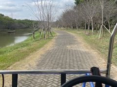 -上海海湾国家森林公园