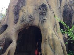 iphone_upload_pic-厦门方特梦幻王国