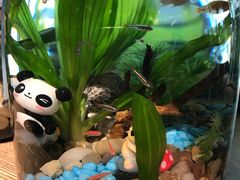 -酷乐潮玩(金桥国际店)