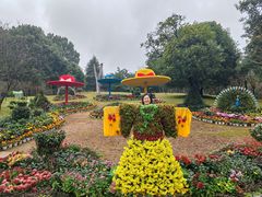 -南山植物园