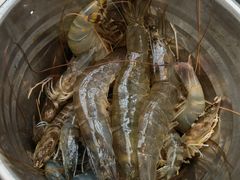 -半岛听涛蒸汽海鲜自助(K11店)