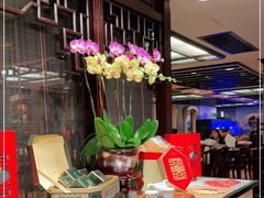 -中国大酒店·食街
