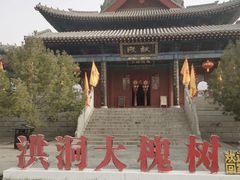 -大槐树寻根祭祖园