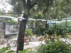 -蘇河湾·新鲁菜·泰山宴(泰山店)