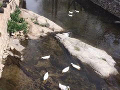 -北京水岸山吧度假村(雁栖镇店)