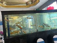 -玉雪春天(中正花园店)