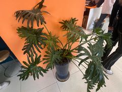 -爱定格照相馆.证件照(周浦万达店)