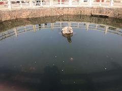 -白马涧龙池景区