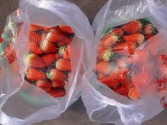 -胡家庙水果批发市场