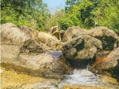 -广州白江湖森林公园