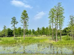 -广富林郊野公园