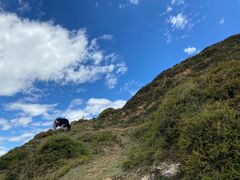 -墨石公园景区