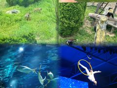 -大连海昌发现王国主题公园