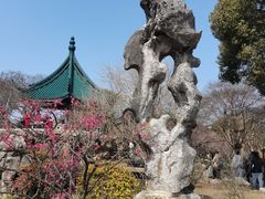 -无锡梅园公园