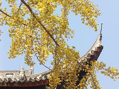 -龙华寺