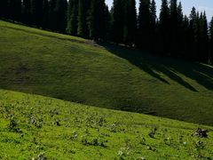 -新疆那拉提国家旅游度假区