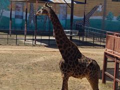 -鄂尔多斯野生动物园